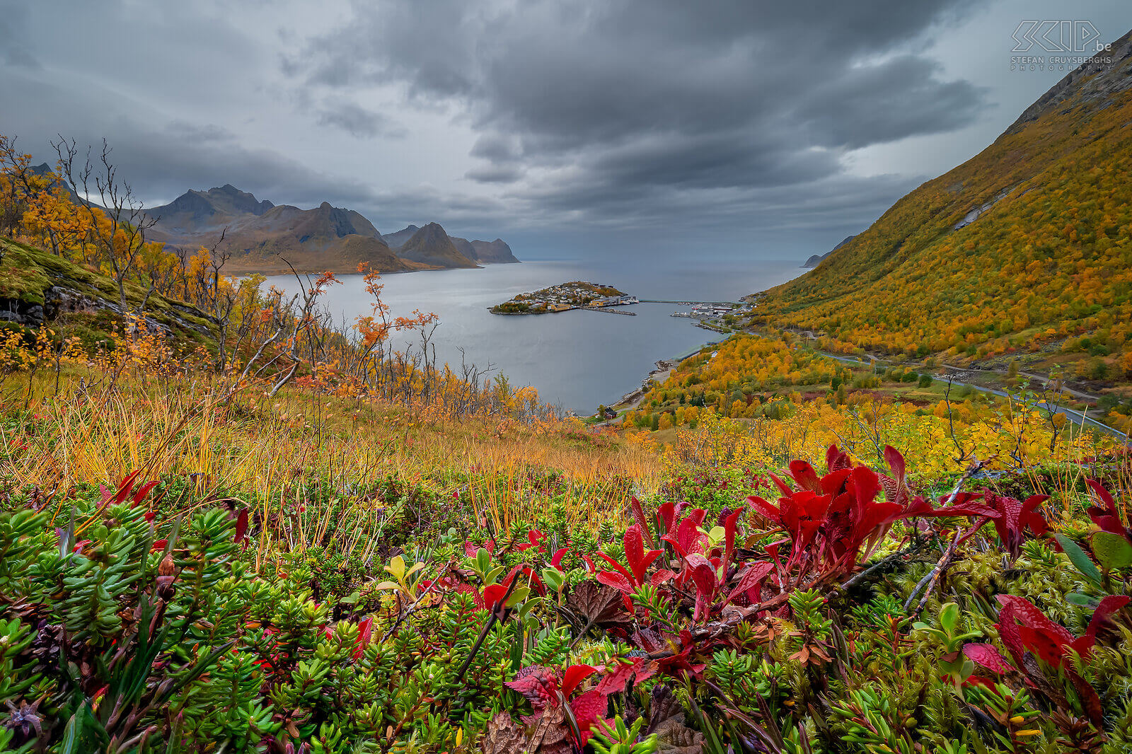 Norway - Senja - Husoy Autumn at its most beautiful on the Oyfjorden with the small inhabited island of Husoy Stefan Cruysberghs